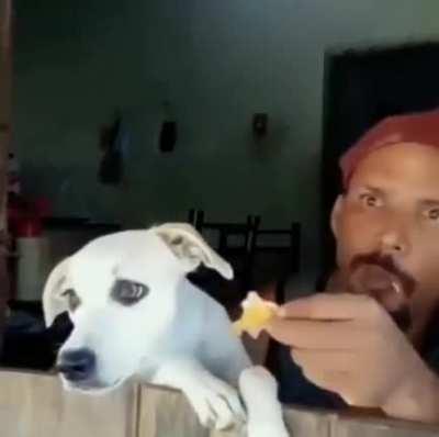 When you enjoy neighbours fighting