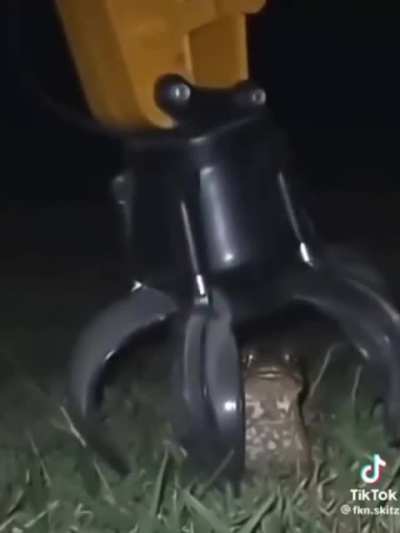 the toad stealer 6700