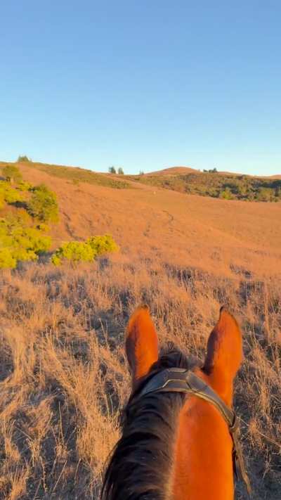Quite the views on these trails!