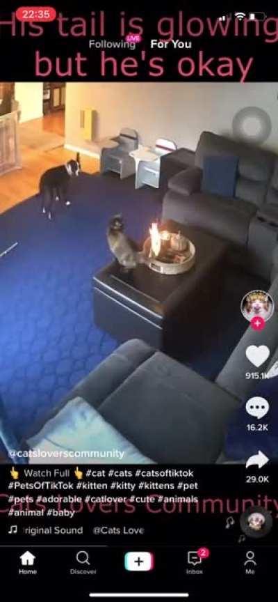 You seeing this shit?