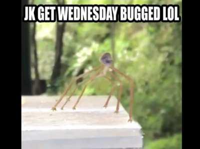 Get stick bugged lol