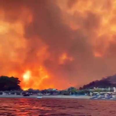 Wildfire on the Greek island of Evia