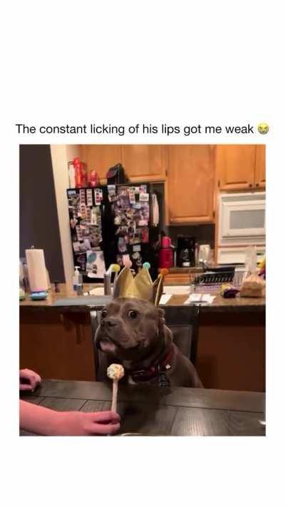 Can you guys wish Ace a happy birthday thank you.