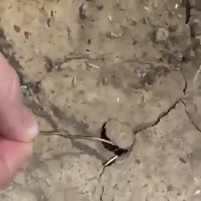 Вы кто такие? Я вас не звал!