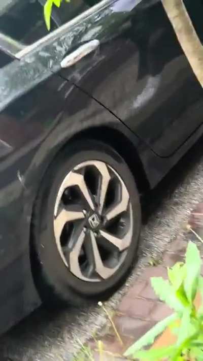 Just a freakout between two neighbors.