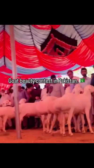 Gyaattt beauty contest in Pakistan