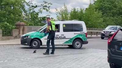 Lithuanian police moving this crow to safety!