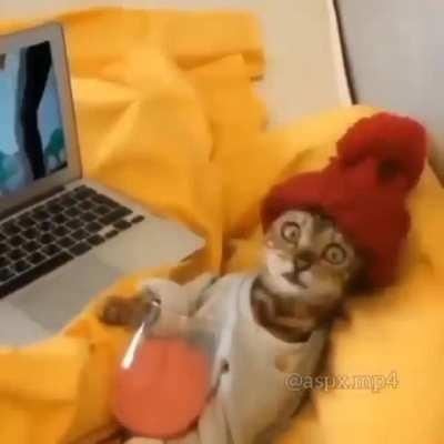 Quero o nome do anime/hentai da tela :)