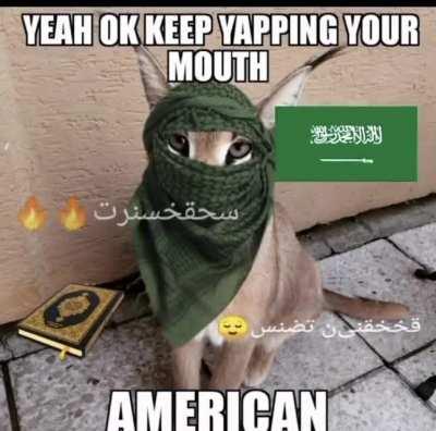 هذا القط مضحك جدا😂😂