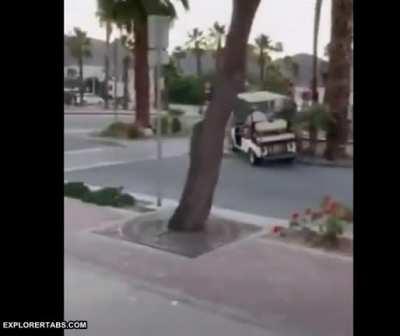 Drunk old guy jumps the curb and face plants the road after ignoring cries to not drink and drive (r/shortlclips)