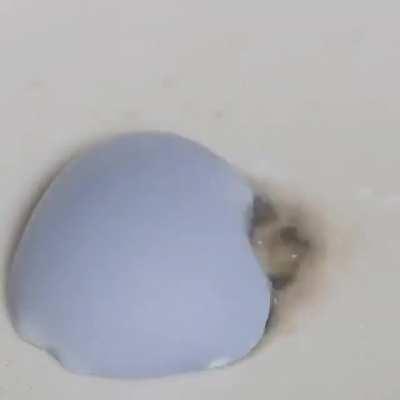 Yo Sodium, you okay?