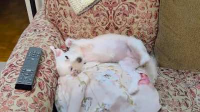 Molly shouldn't have to ask twice.