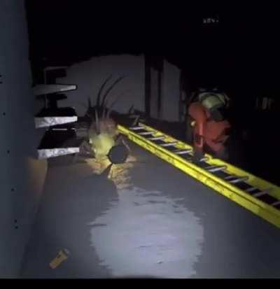 Proximity chat is hilarious