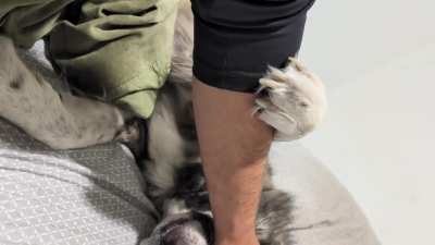 post 16h shift, she is exceptionally needy