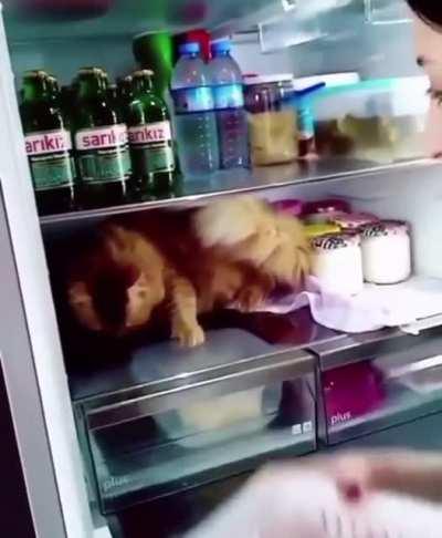 “Do not touch me Becky!!”