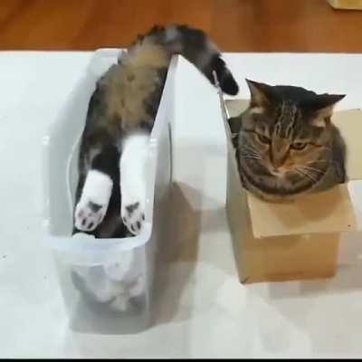 If I Fit, I Sit, then I do a Flip