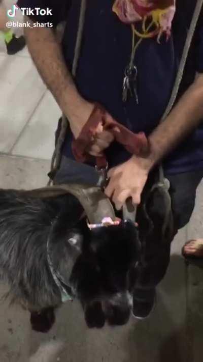 this isnt my video, just thought it belonged here.