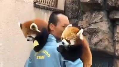 Where do i get this job?