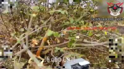 Russian FPV drone hits 2 Ukrainian soldiers hiding in a bush