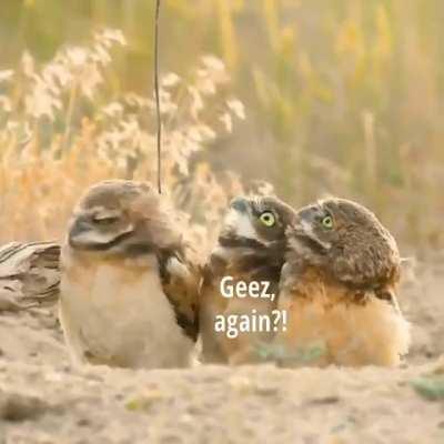 Cake day repost of my favorite video ever from this sub