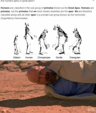 NO!!! IT CAN'T BE TRUE!!!