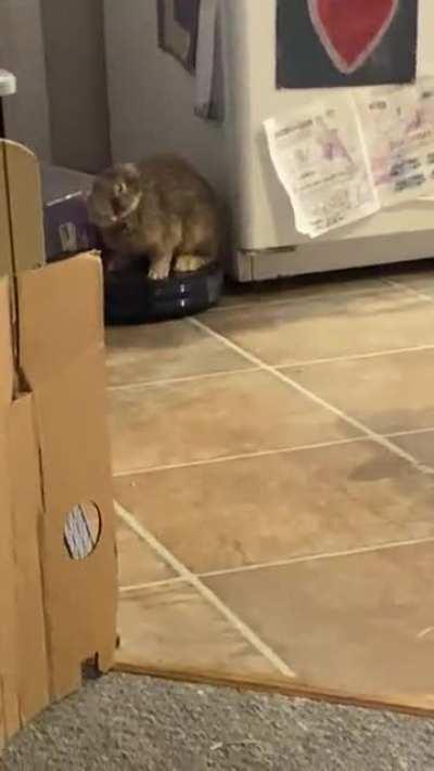 Are you S#!+!ng me🙄🤨🤣