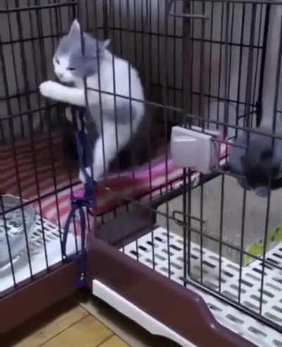 Liquids escape from a cage