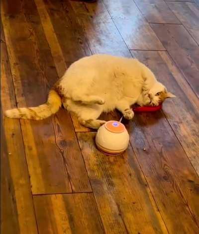 when you're tired of playing