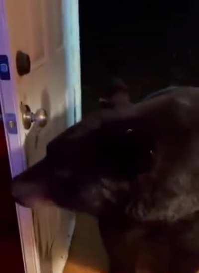 Umm... sorry, wrong door