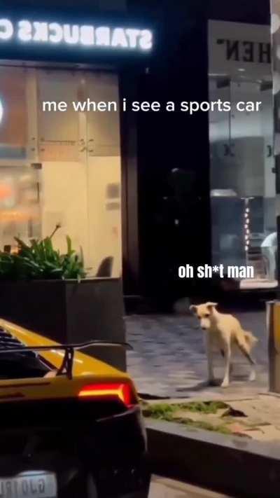 Cheez badiya hai, ekdum rapchik.....