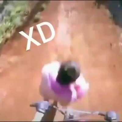 MoaiGreddit - Video #6356