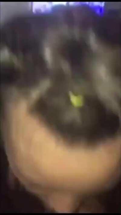 Jaylnmichelle - Video #7623