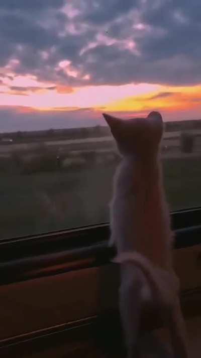 my silly ass mesmerized by the world's natural beauty and splendor