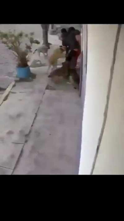 Momentos tercermundistas 😂