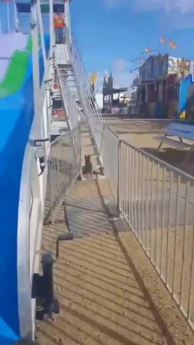 The joy of the slide is universal!