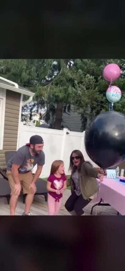 Gender reveal gone wild