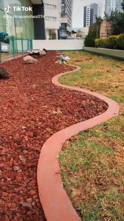 Perfect music for this precious doggo