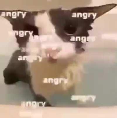 angry