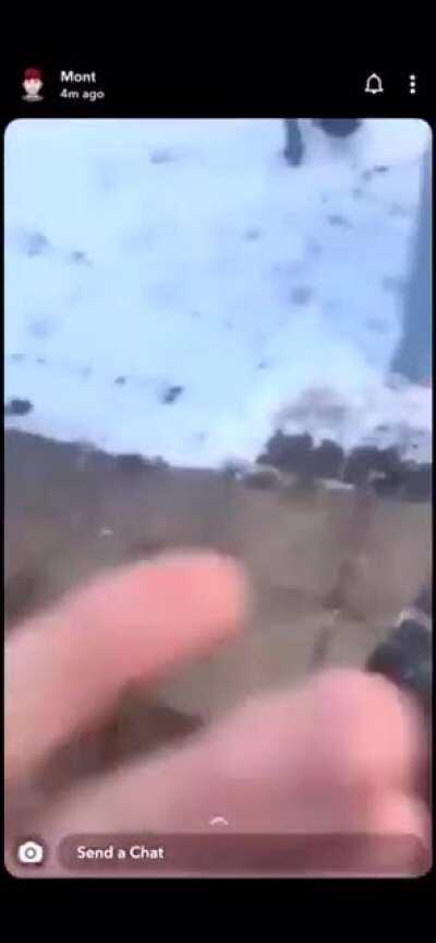 There’s a wild fox, let’s treat it like a cat.