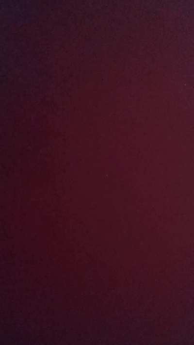 Licking her feet together while fucking her ass