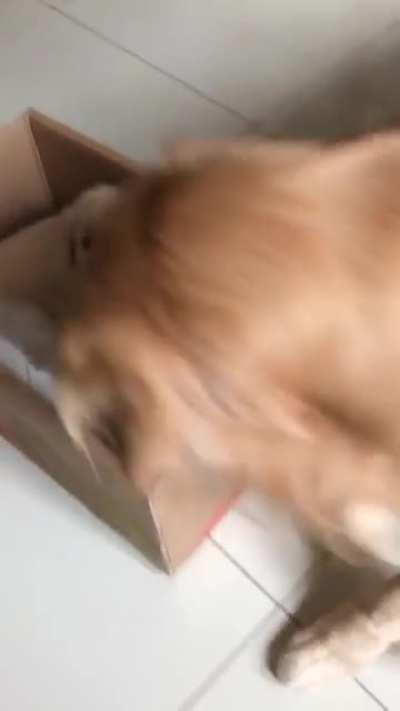 Welcome to the family