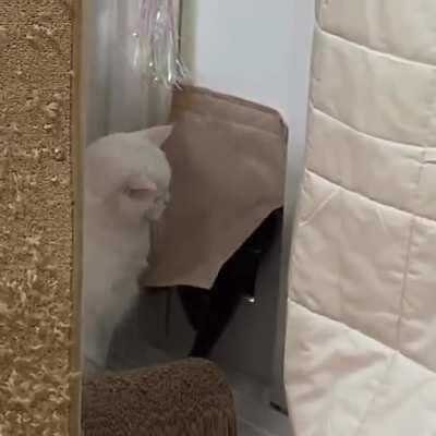 to sneak inside undetected