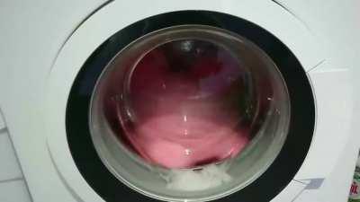 Washing sleeping Kirby