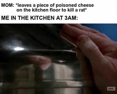 I just wanted a snack