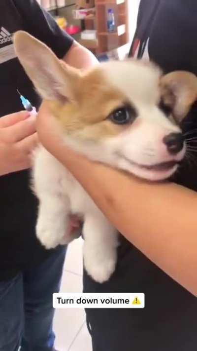 Who is the bravest one?😏