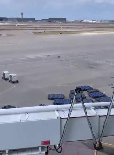 Love this main character 