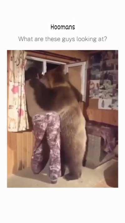 Guy Hangs Out With Bear In His House