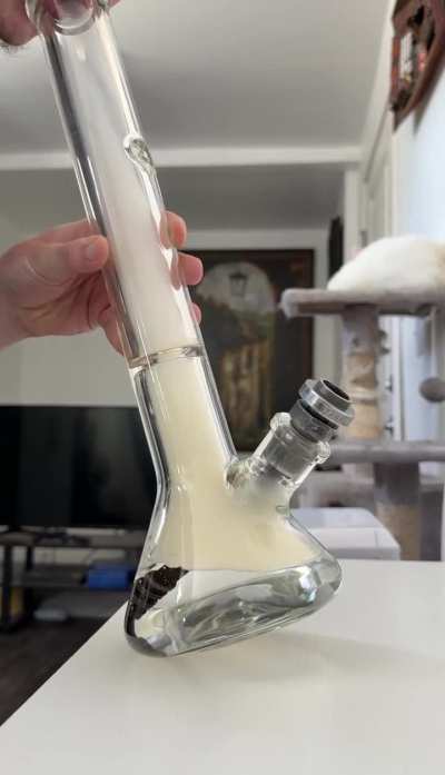 Got the new iPhone so I had to test the camera 