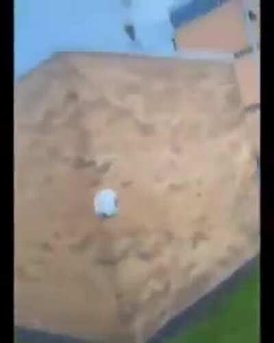 Se a vizinha n&atilde;o devolve a gente pega de volta custe o que custar kkkkkkkk