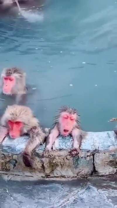 The perfect day doesn't exi...